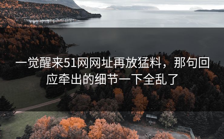 一觉醒来51网网址再放猛料,那句回应牵出的细节一下全乱了